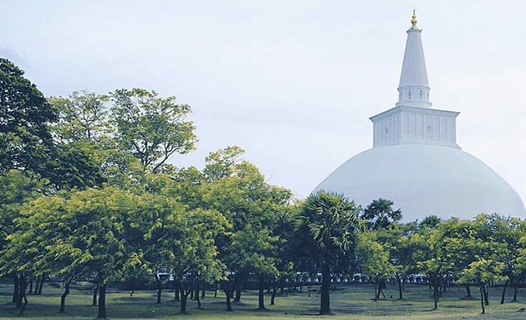 Anuradhapura