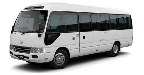 Mini Coach