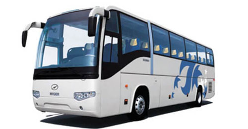 Bus