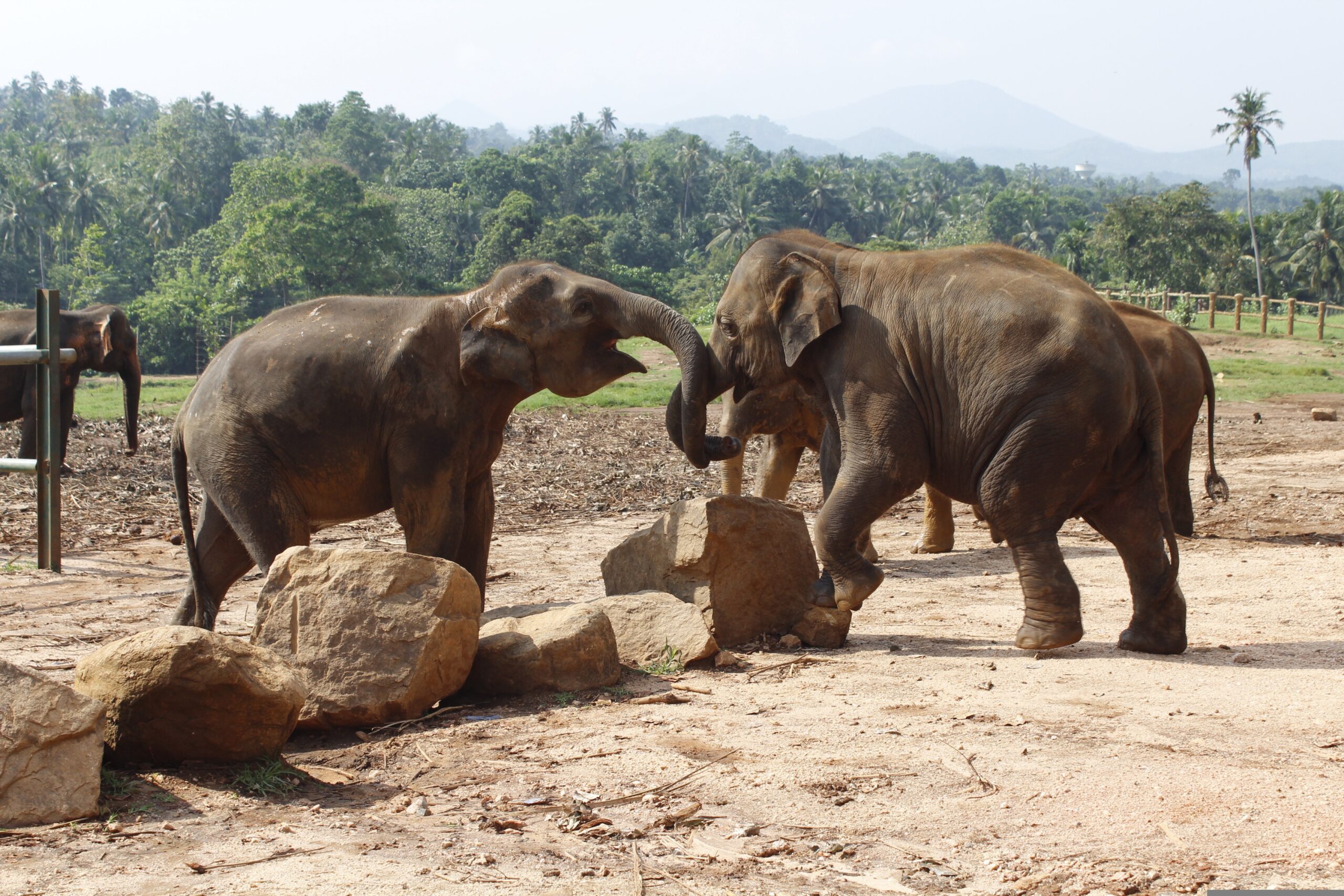 Best time to visit sri Lanka