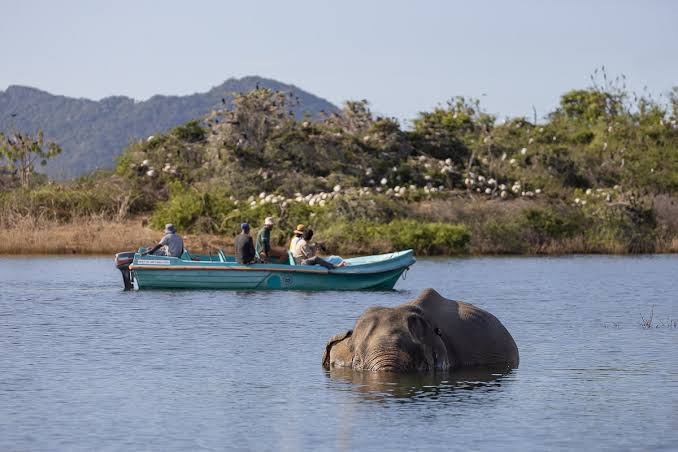 10 Hidden Gems in Sri Lanka You Should Visit Beyond the Tourist Trails